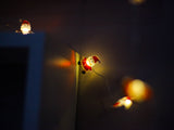 LED Light String Christmas Decoration