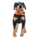 Dog Life Jacket
