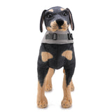 Dog Life Jacket