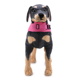 Dog Life Jacket