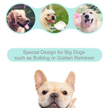 Portable Pet Water Bottle