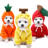 Hoodie Dog Clothes