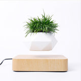 Floating Pot