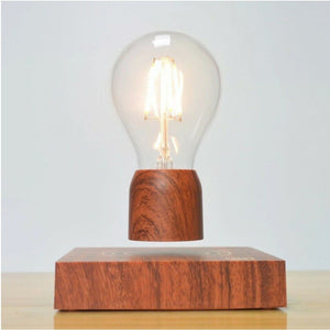 Magnetic Floating Bulb Light