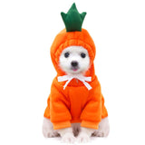 Hoodie Dog Clothes