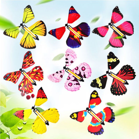 Magic Butterfly Gift Surprise