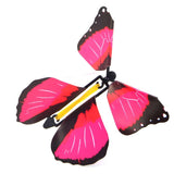 Magic Butterfly Gift Surprise