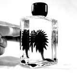 Magnetic Fluid/Ferrofluid bottle